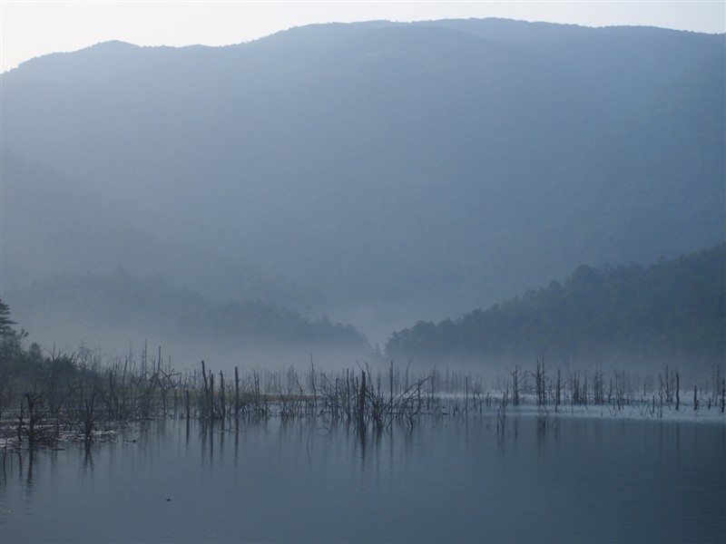 �ͻ�����峿�˼Ҷ�