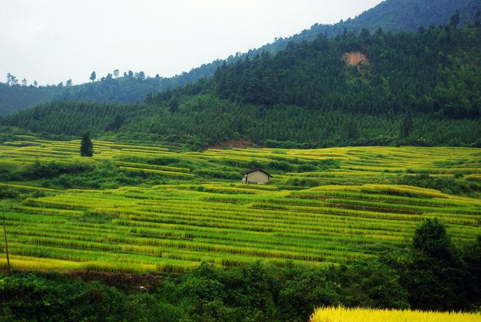 ŷ�Ҵ�����