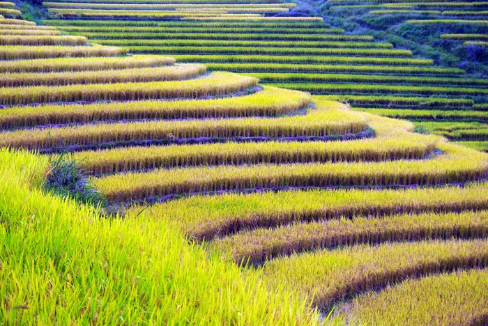 ŷ�Ҵ�����