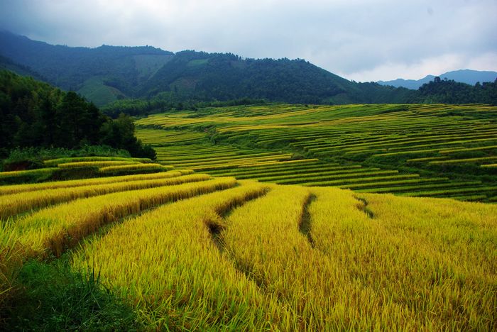 ŷ�Ҵ�����