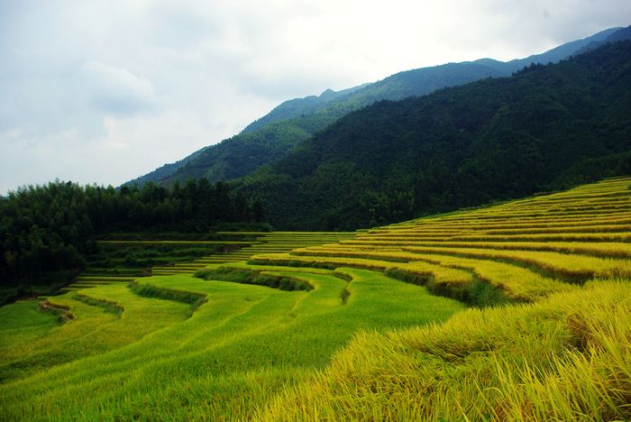 ŷ�Ҵ�����