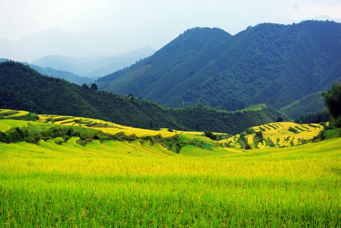 ŷ�Ҵ�����