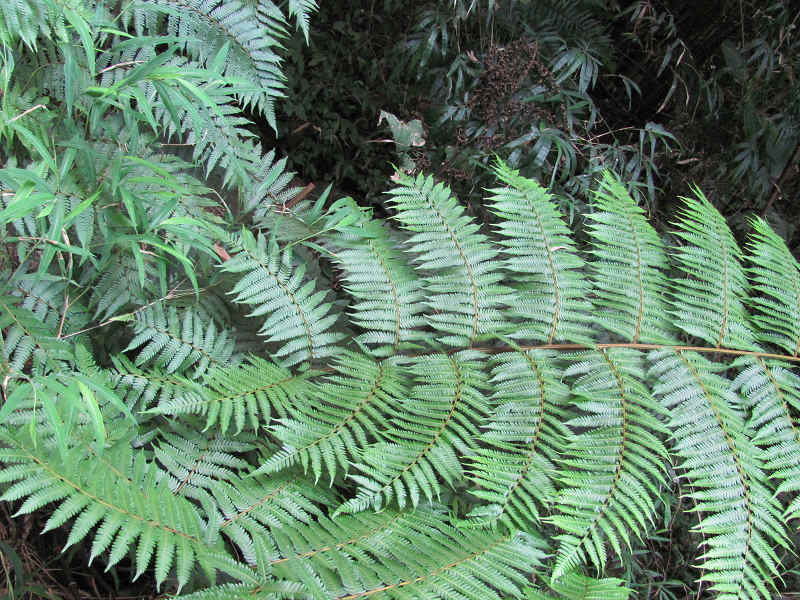 ����·��