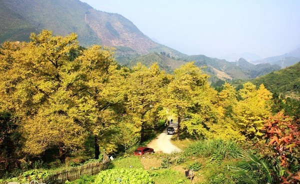 ͩ�������� 1.jpg