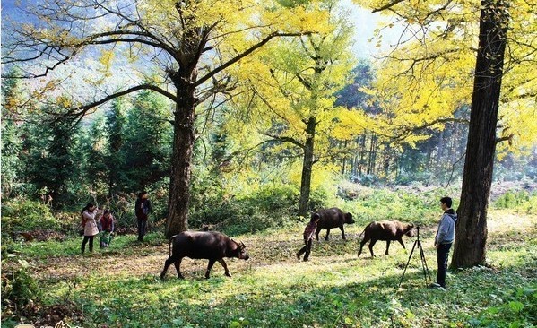 ͩ�������� 2.jpg