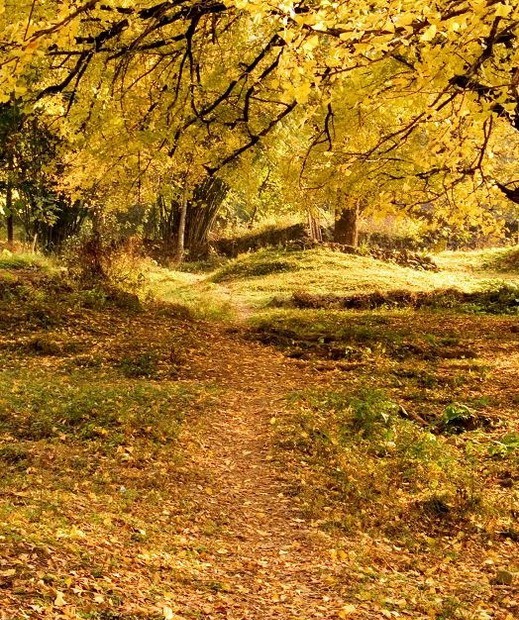 ͩ�������� 4.jpg