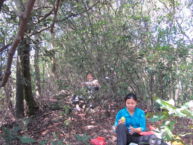 ���Ʒֹ���