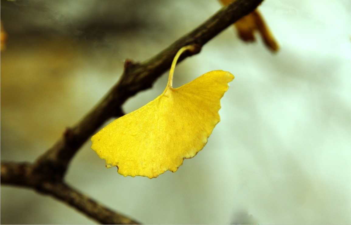 дҶϵӱ羡ӣһԡŻֶ