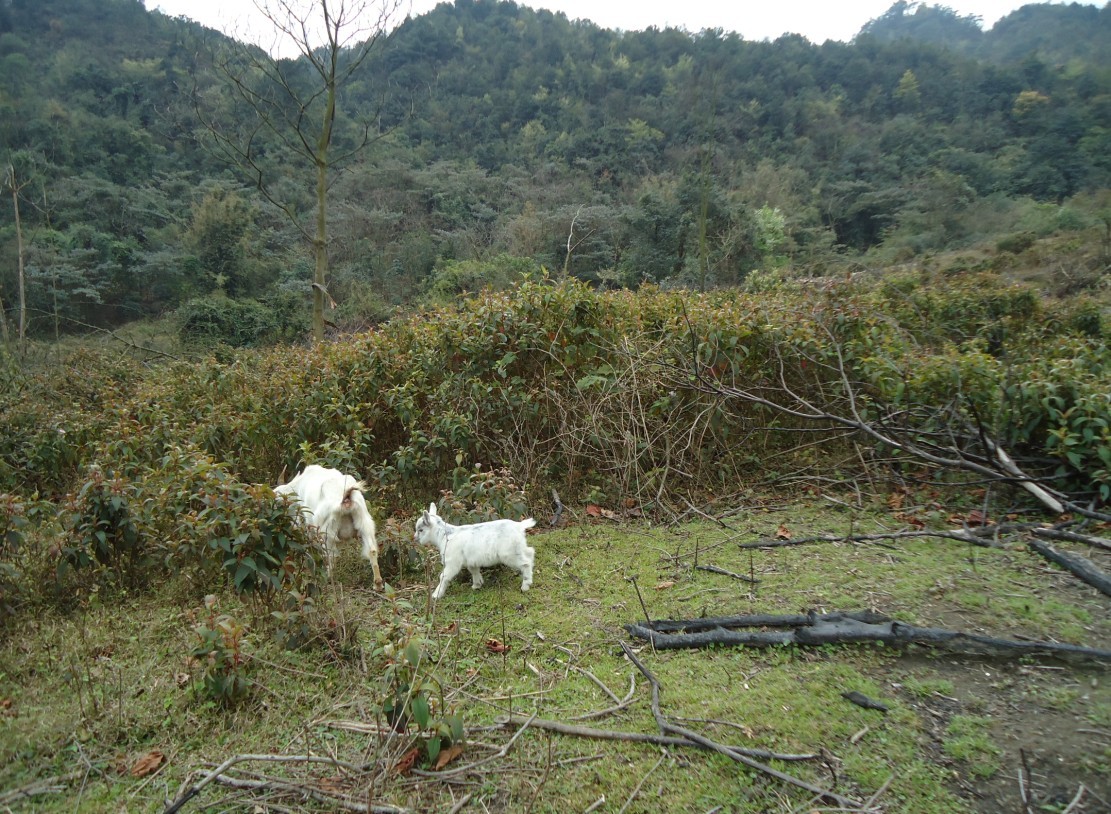 ���Ƕ� 5.jpg