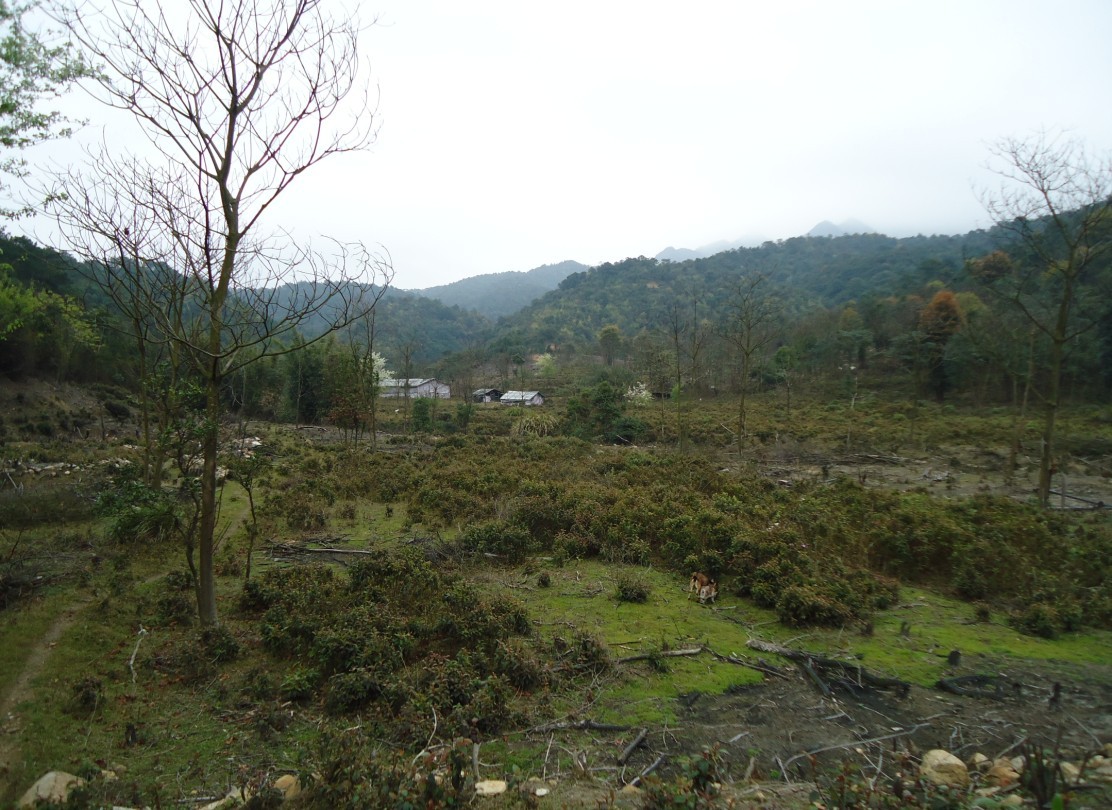 ���Ƕ� 6.jpg