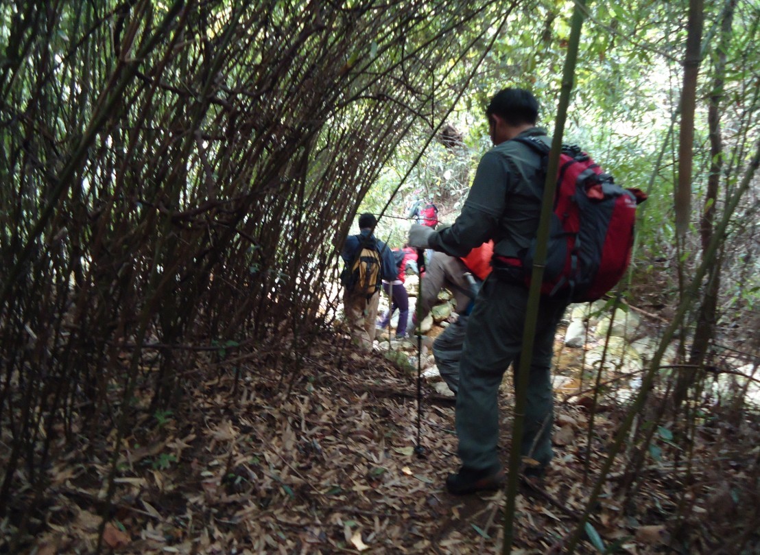 ��ȸ�� 4.jpg