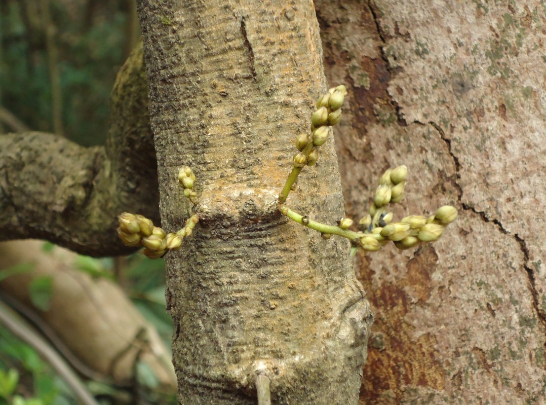 ��ȸ�� 5.jpg