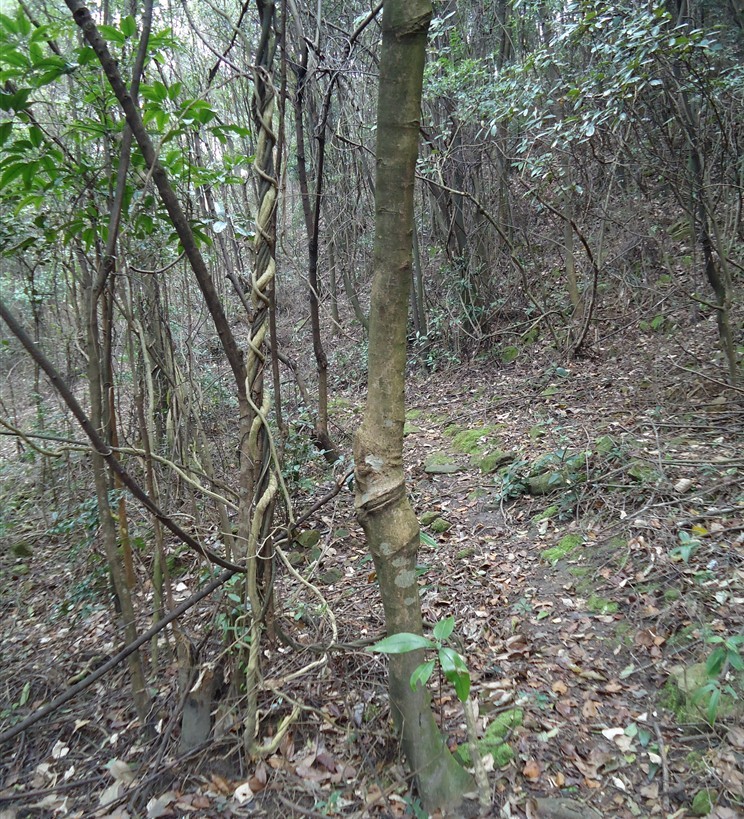 ���Ƕ� 2.jpg