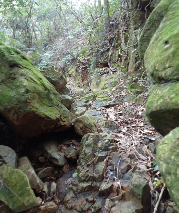 ���Ƕ� 2.jpg