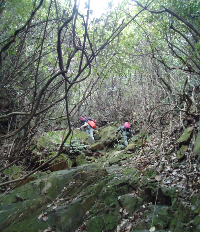 ���Ƕ� 1.jpg