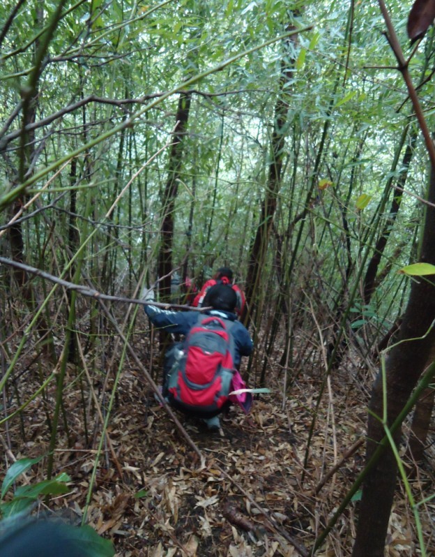 ���Ƕ� 4.jpg