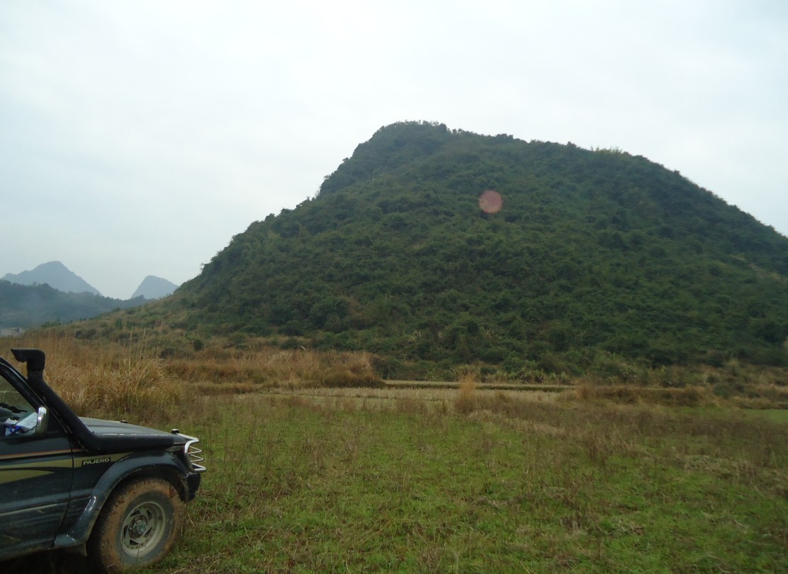 ���ζ� 3.jpg