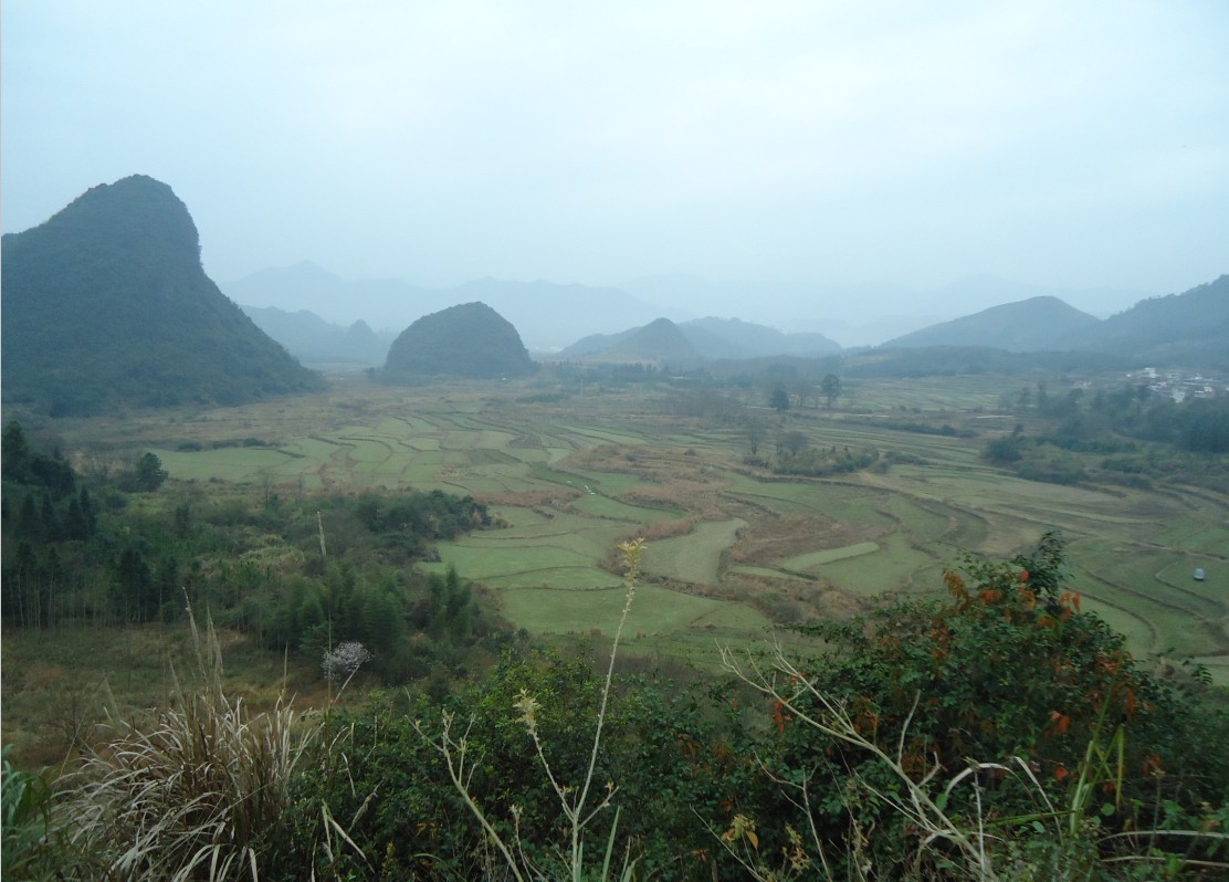 ���ζ� 4.jpg