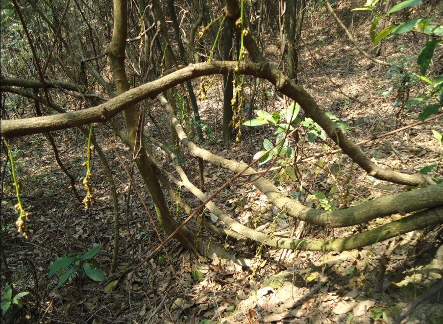 ��ȸ�� 3.9..jpg