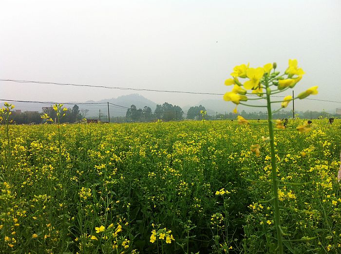 nEO_IMG_20130316 005.jpg