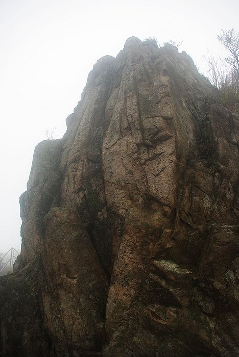 ���Խ���