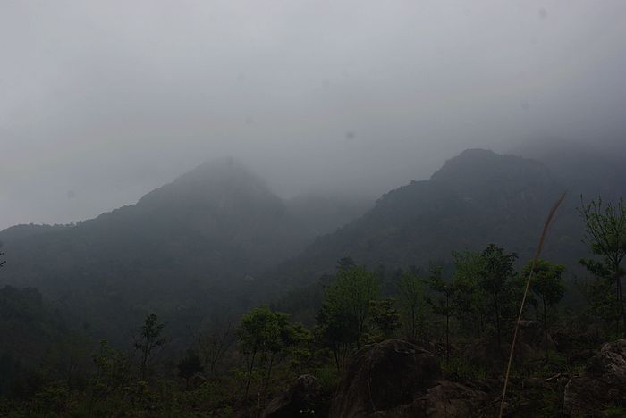 ���Խ���