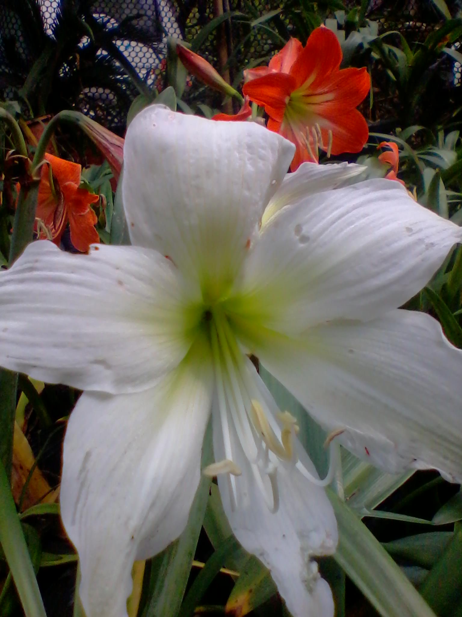 2013-03-24 14.04.11.jpg