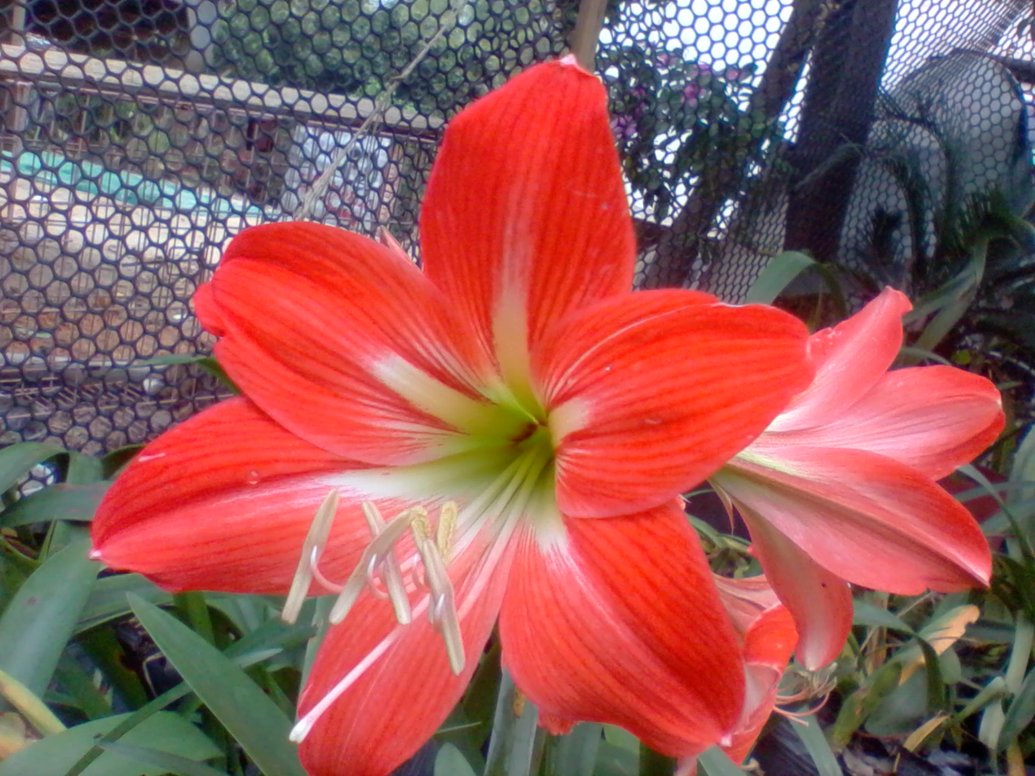 2013-03-24 14.31.03.jpg