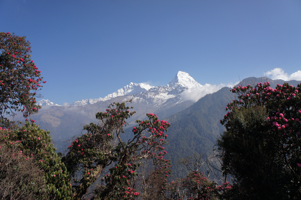 nEO_IMG_DSC08429 - .jpg