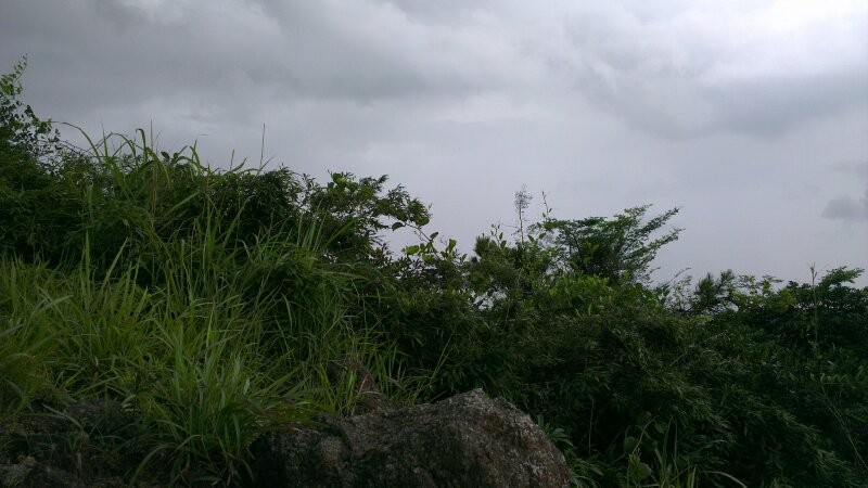 ����ѹ��