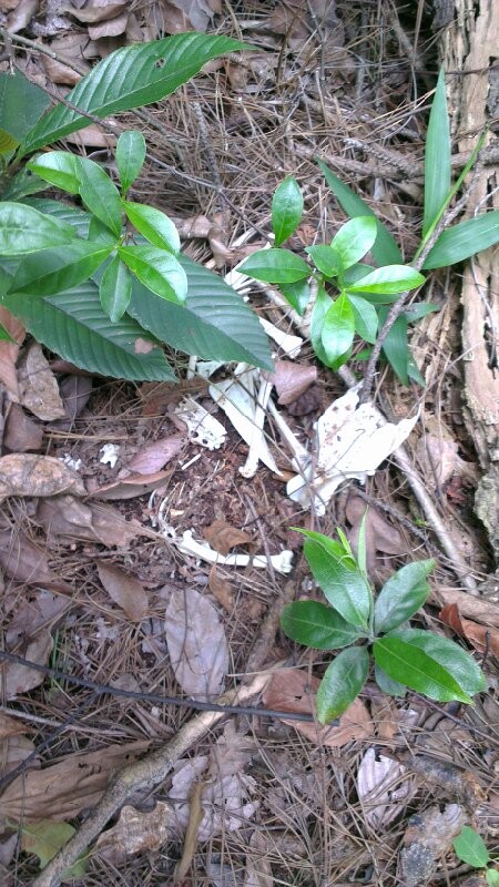 ��֪ʲô����Ĺ�ͷ