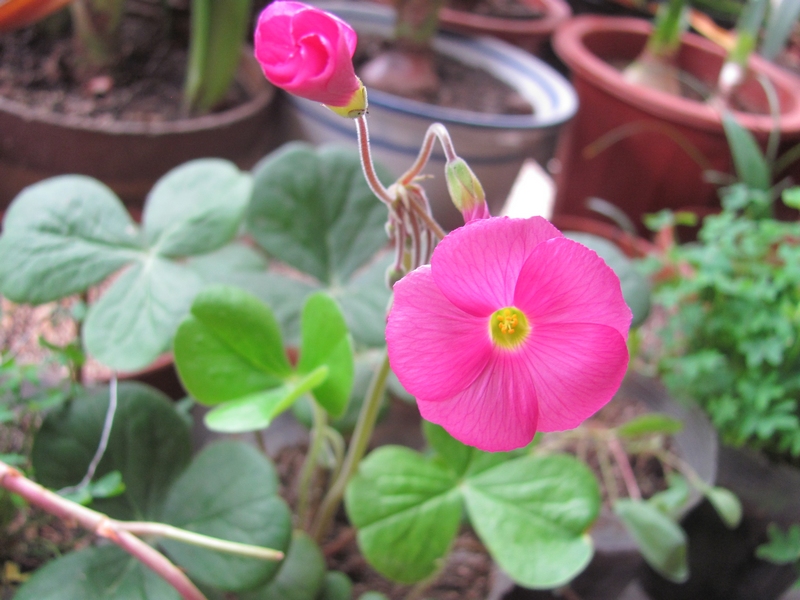 �����/����