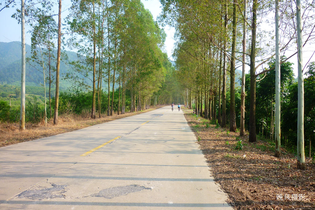 ��Ư���Ĺ�·