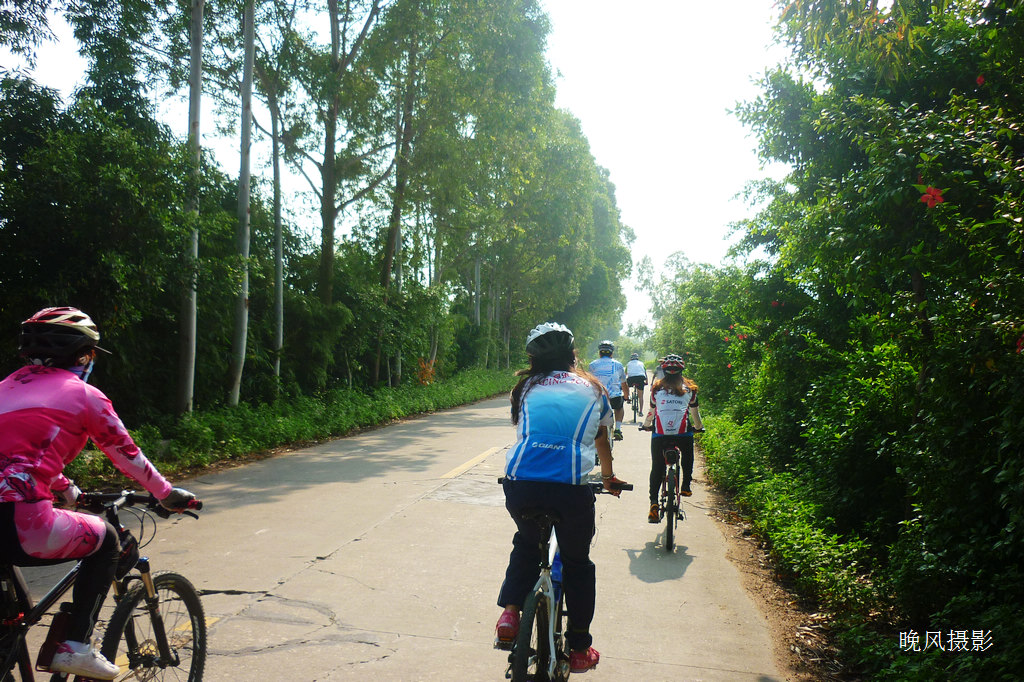 �����Ϥ��S354��Ҳ����Դ̶��·��