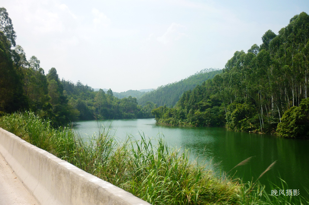 �ں������к������