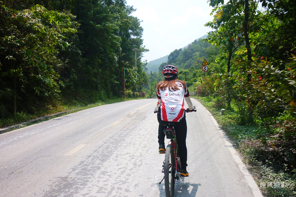 ���ڵ�����