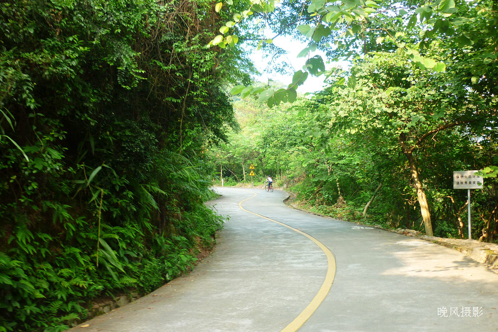 ��·��������