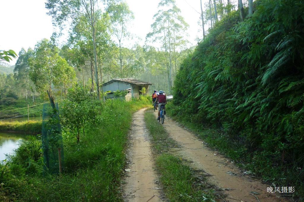 ���ڵ����ֵ�