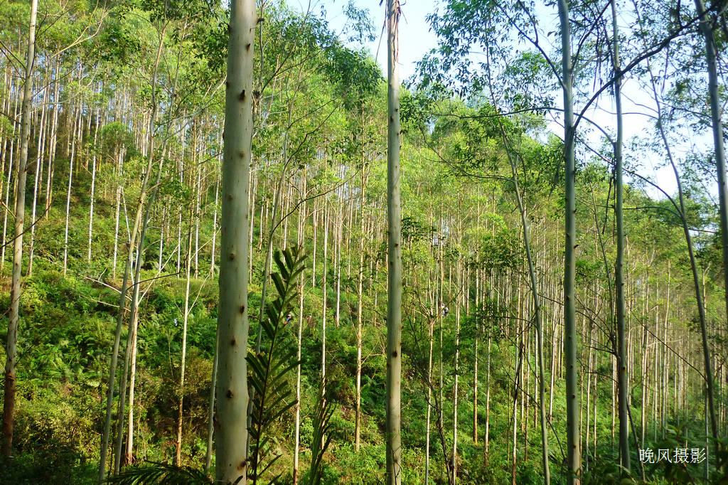 ����ʧ��