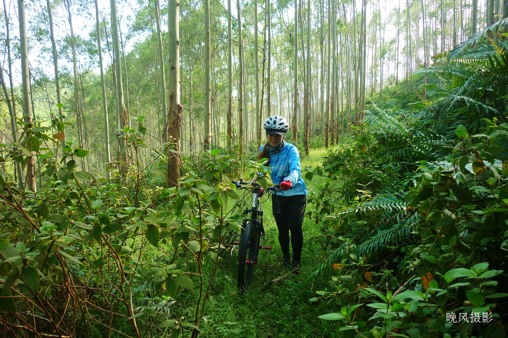 �������Ƴ�����Ϊ�����������·�ˣ��������ɱ����