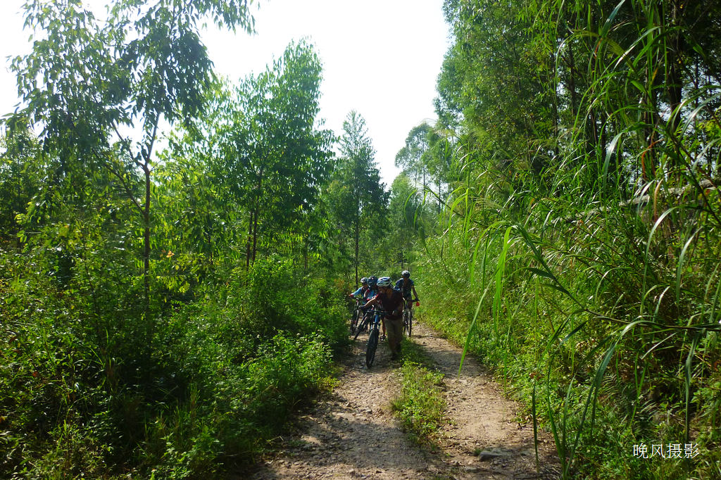 ����Ƭ����߻����̫���ˣ�С�µ��Ƴ�