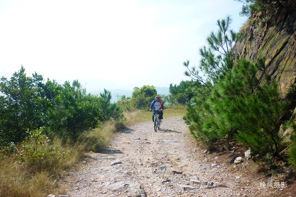 С�����������