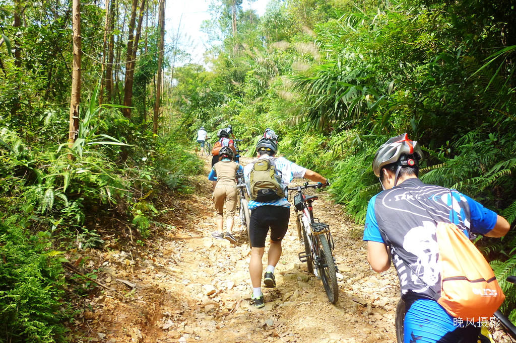 �ѳ�������������������