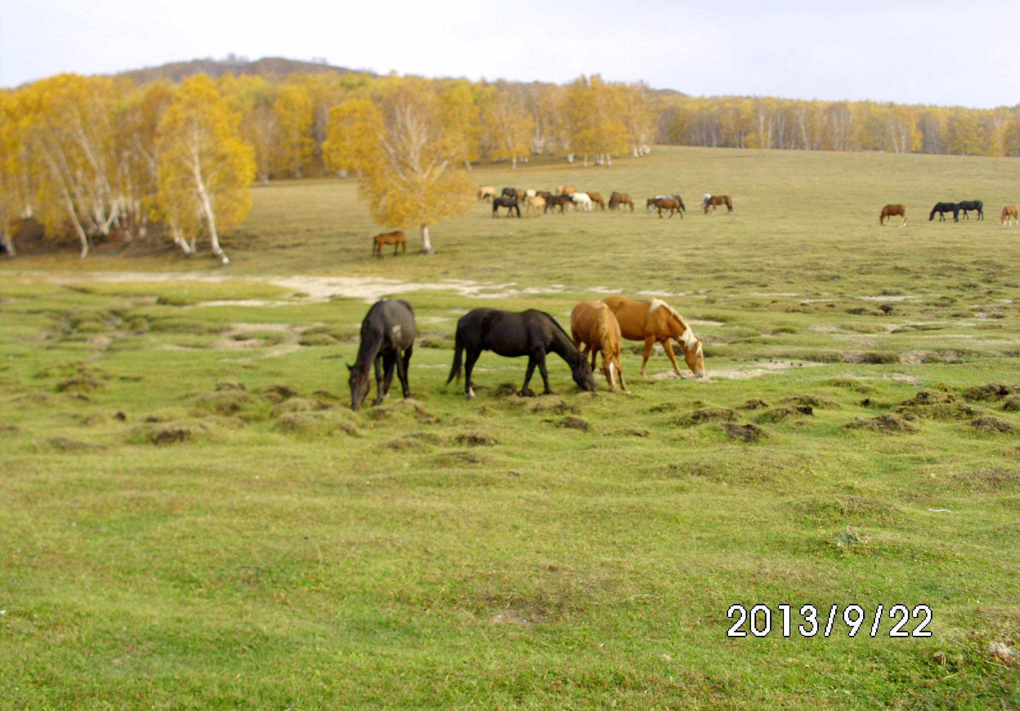 δ����-1 ����.jpg