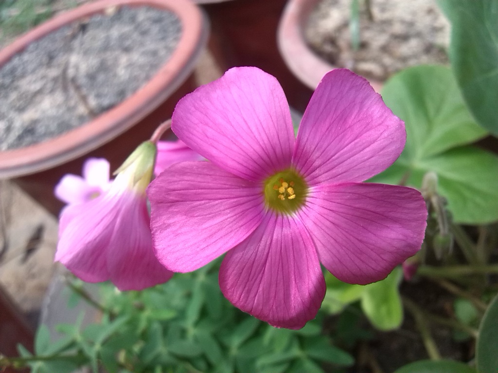 ����� 2.jpg