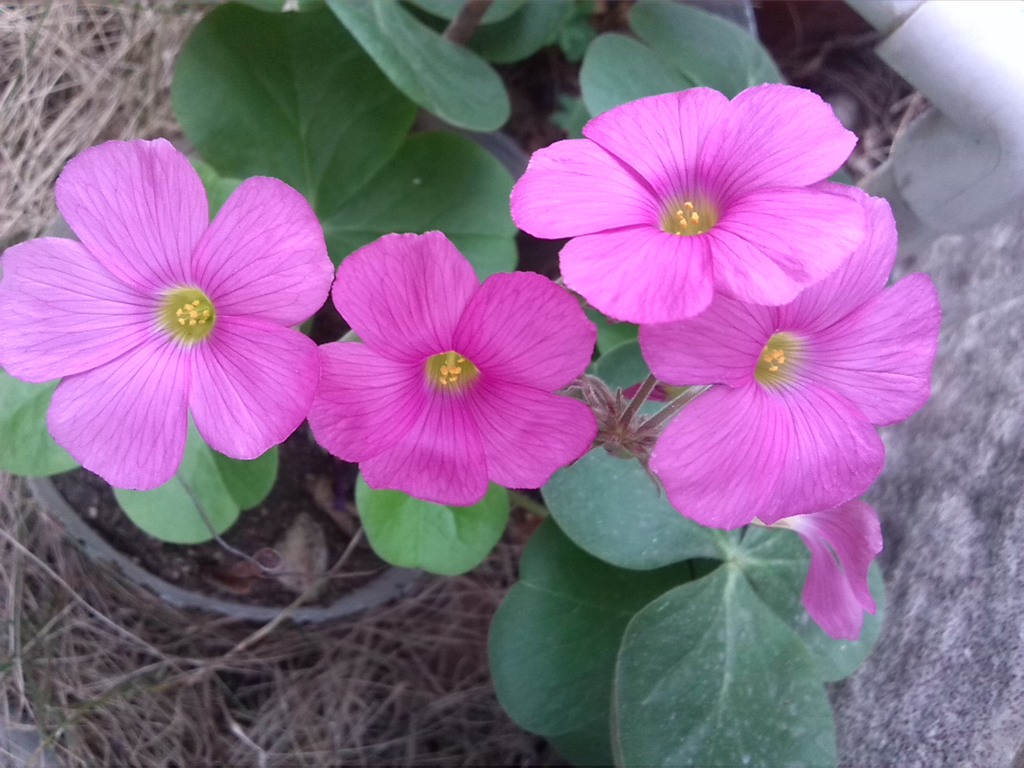 ����� 3.jpg