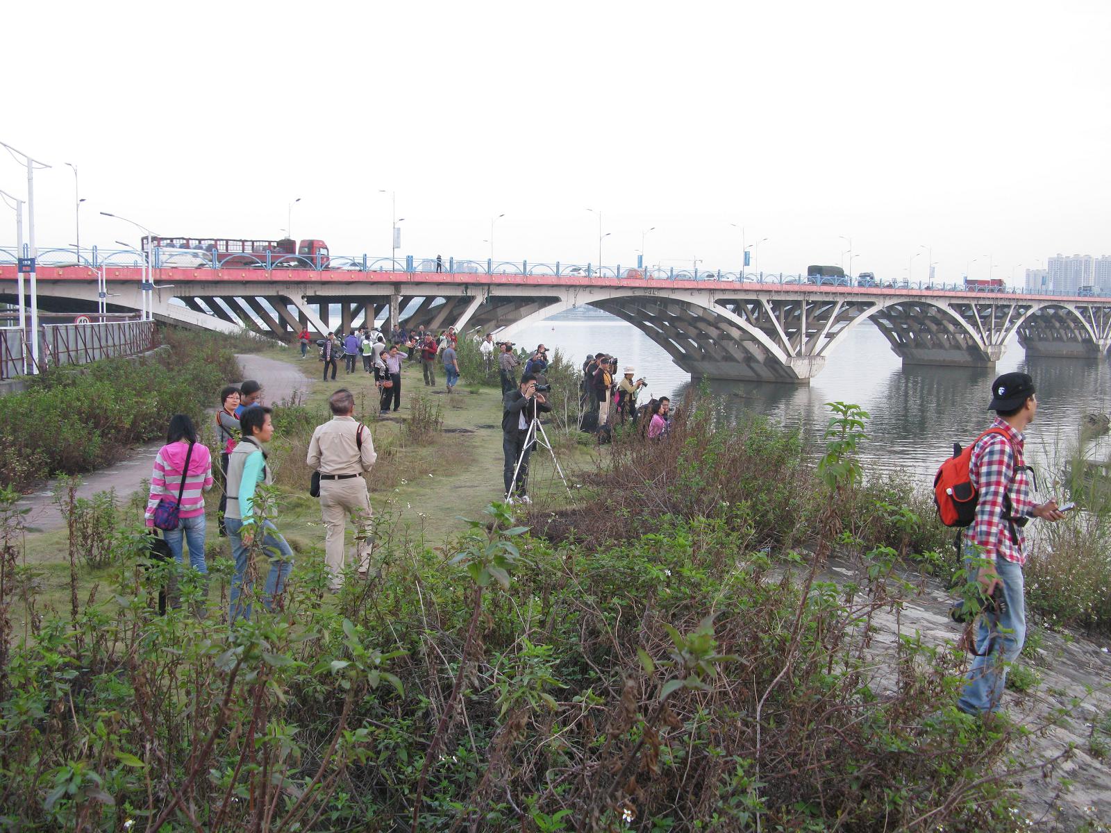 �Ⱥ�����