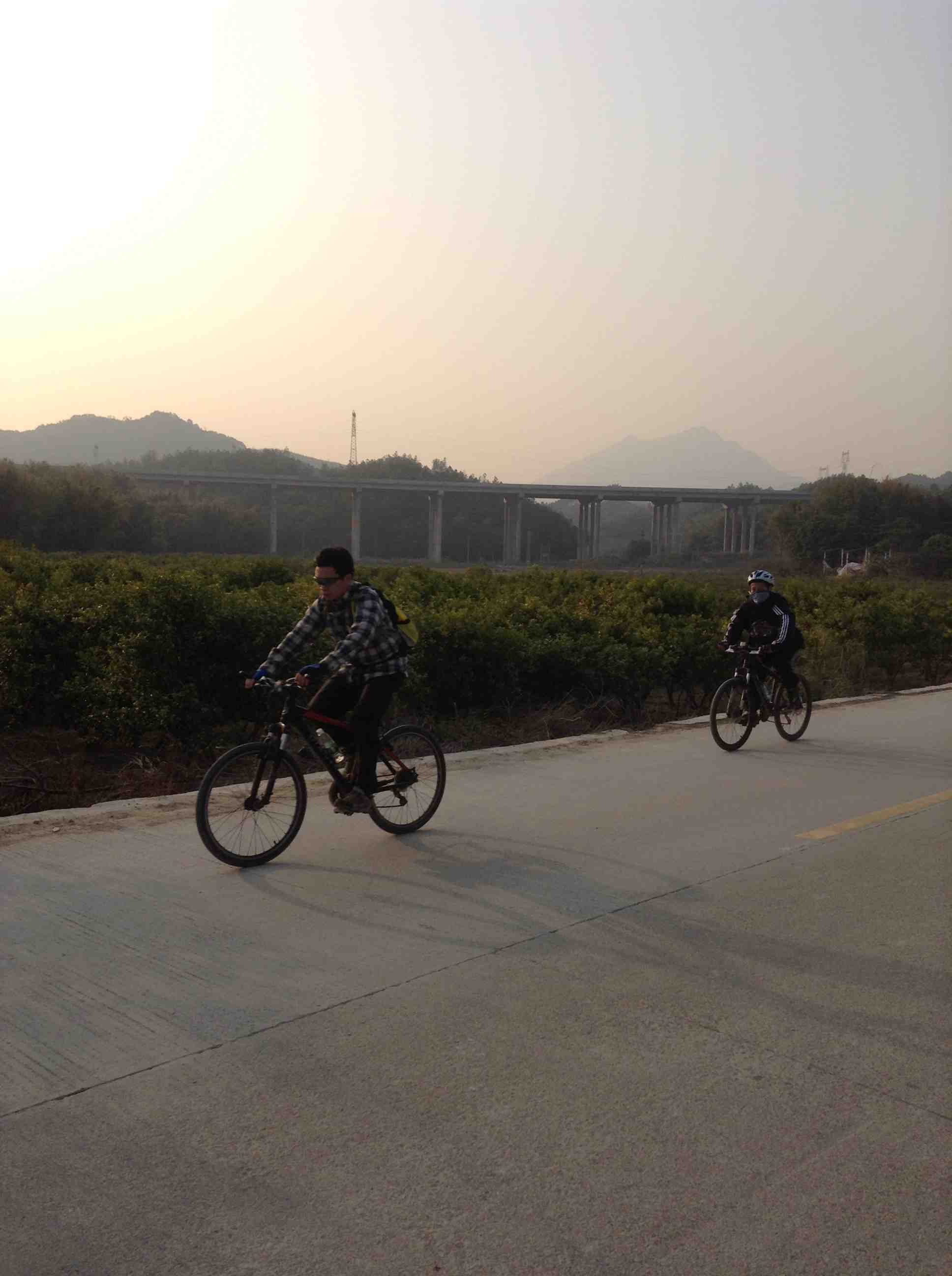 ���� (3).JPG