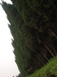 ػΧһ㵼ֻοԱתһ¡