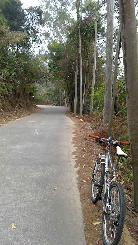 20ǰѾɽ·û˵Ұ⣬һ